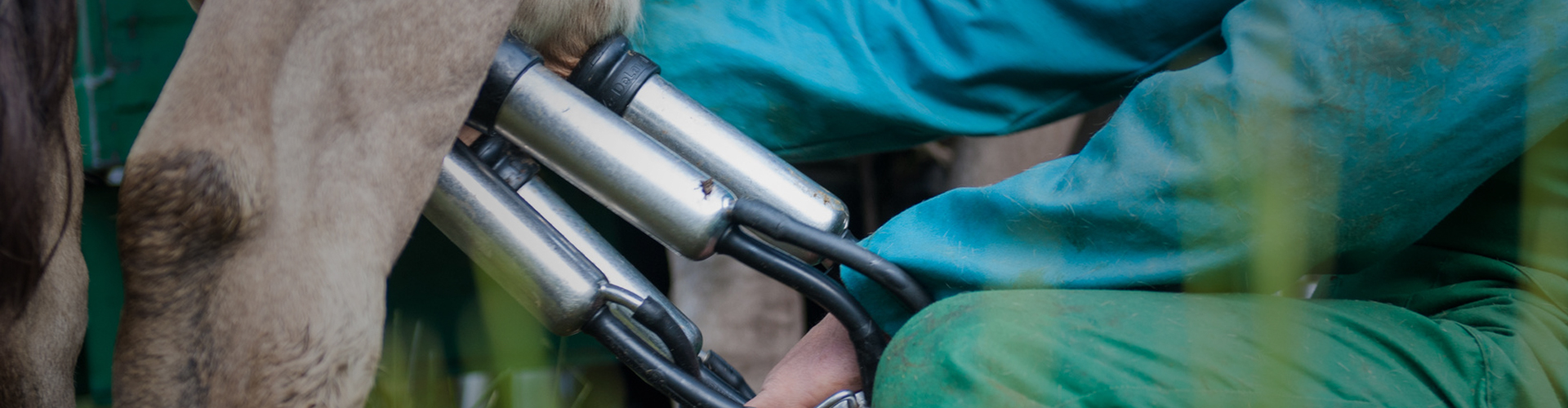 Alfa Technology Agro Vet